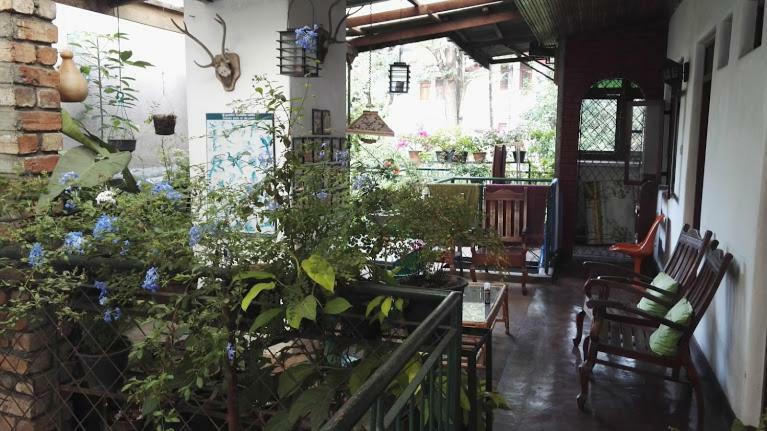 Kandy Inn Madugalle'S Family Guest House Exteriör bild